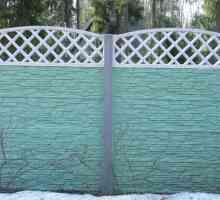 Боядисване на бетонна ограда със собствени ръце под бронз, под камък - опции за снимки