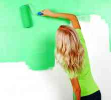 Боядисване на стени, особености на технологиите