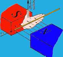 Правилото на лявото рамо Задвижването на затворен проводник в магнитно поле Електромагнитна индукция