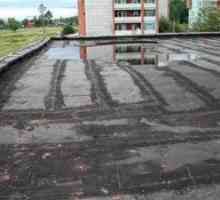 Ремонт на покриви течове как да търсите място, опции за кръпки