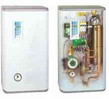 Домашен електрически бойлер за отопление с 220 V фото, видео, отопление на вода