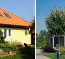 Модерна или традиционна къща? Избор на цвят на покрива и фасадата