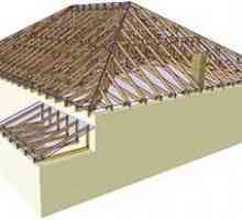Типове покриви на покривни системи, структурни особености на покривната система за различни видове…