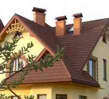 Видове проекти и снимки на мансардни покриви на частни къщи, опции за покриви и използване на…