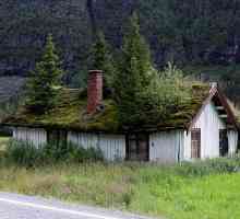 Трева по покривите на Норвегия