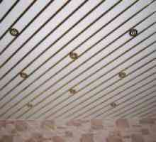 Устройството на таванните окачени тавани