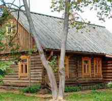 Външно покритие на дървена къща снимка