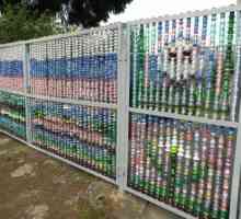 Ограда от пластмасови бутилки със собствените си ръце Нестандартни опции за ограда за частна къща