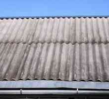 Замяна на покрива на къщата, демонтиране Как да подменим покрива на покрива със собствените си ръце