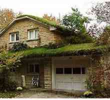 Зелен покрив, живеещ трева покрив