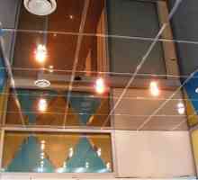 Огледален таван в ръководството за видео инсталация на банята, снимка