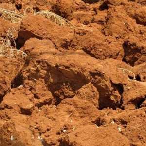Фондацията на глинеста почва е лента и на купчини, какво е по-добре да се направи?