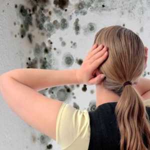 Как да се отървете от мухъл по стените в апартамента