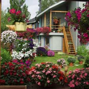Как да украсим къща с цветя - екстериора