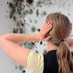 Почистване на стените срещу средства за формоване за унищожаване на гъбички