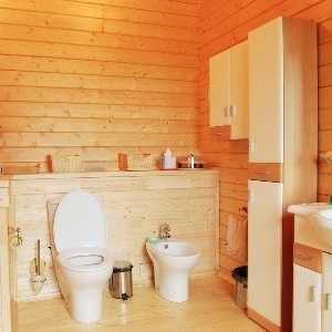 Декориране на банята в дървена къща изборът на материал и неговите функции, снимки, видеоклипове