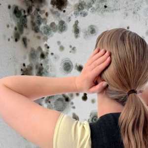 Тест върху стените - вреда на човешкото здраве