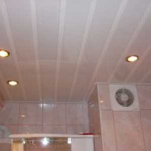 Окачени тавани за видовете бани