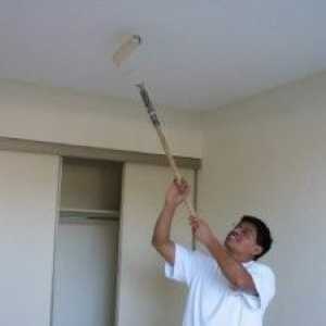 Боядисване на тавана със собствените си ръце, как да рисувате тавана от дърво, гипсокартон