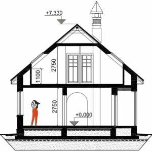 Проекти на дървени къщи и вили с тавански гледки и характеристики
