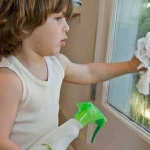 Различни народни средства за измиване на прозорци